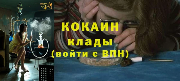 СК Алексин