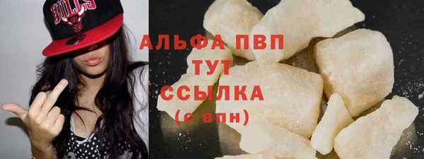 СК Алексин