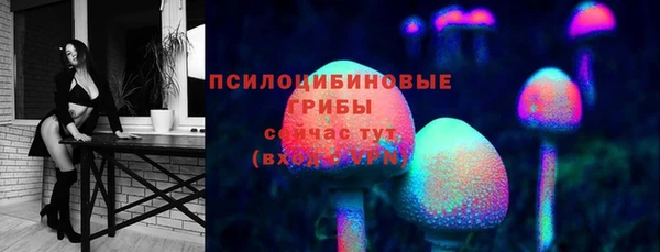 ПСИЛОЦИБИНОВЫЕ ГРИБЫ Алзамай