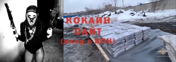 СК Алексин